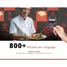 Load image into Gallery viewer, Franklin 16 Language Speaking Phrase Translator