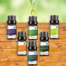Load image into Gallery viewer, Pursonic Aroma Diffuser with Remote and 6-Pack Aromatherapy Oils
