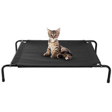 Load image into Gallery viewer, Cats and Dogs Elevated Pet Bed
